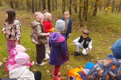 03e14cea-8e7e-498d-bf20-96970b898aa1