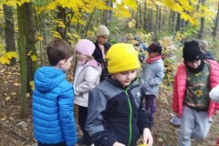 20306a2a-6c75-46d2-a800-5d8cb4c411a9