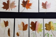 2c60a2f8-8761-48e9-b8bb-9cc5282b98df