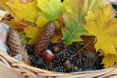 74aa7b2c-00ca-4ecc-840f-a844214b2861