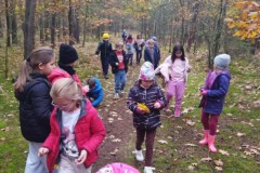 970ed412-df50-4c37-ab24-bba7fda2de78