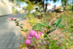 IMG_20261005_154349