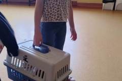 5d87de27-c2fd-42c0-865c-efea08a3abac