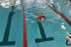 16e7e152-53aa-46d3-937f-9797b2b374e5