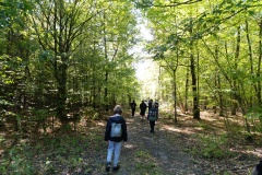 IMG_20250926_110345