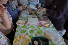 47563559-4bce-495c-8444-81aff56d778b